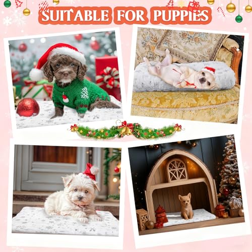 2 Pack Christmas Self Warming Cat Mat Snowflake Thermal Pet Blanket (White)