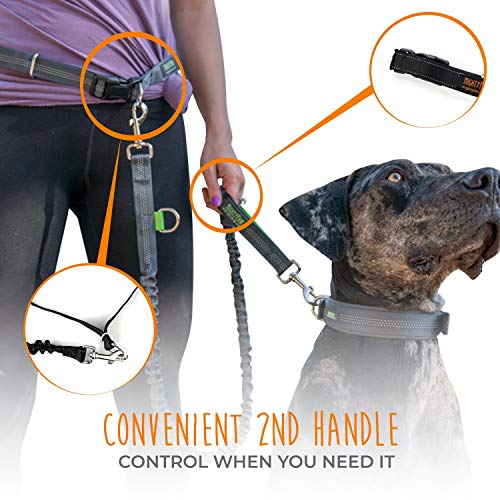 Hands Free Dog Leash (48" / Black)