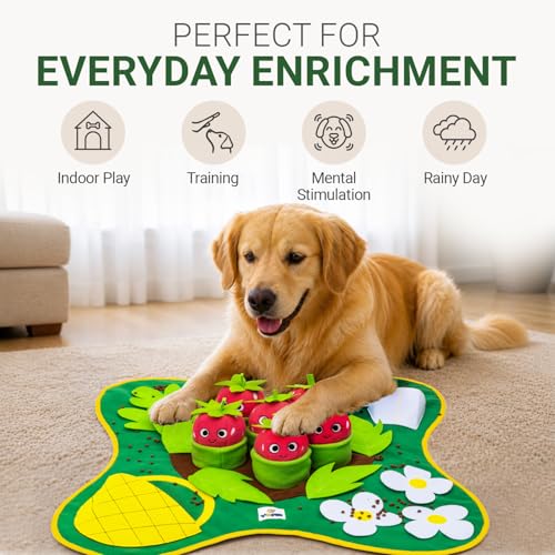Snuffle Mat for Dogs 28.3" x 28.3"