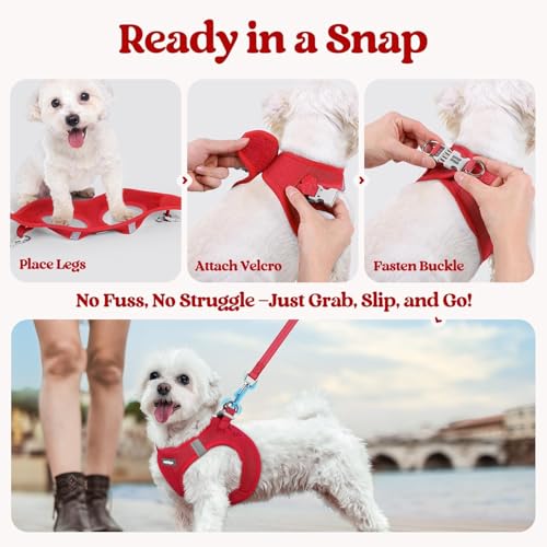 Dog Harness Medium Sized and Leash Set (Red / M (chest: 16 - 18.5"))