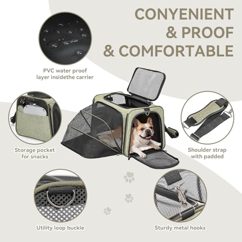 Large Expandable Cat Carrier for Travel (19"L x 12"W x 12"H / Green)