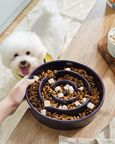 Dog Bowls Slow Feeder Ceramic (Maze Purple / M-1.5 Cups)