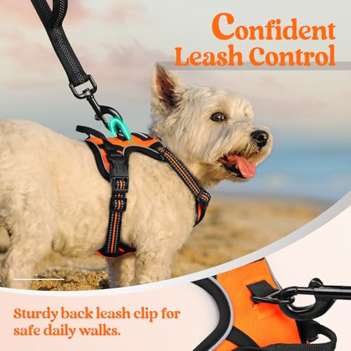 Dog Harness No Pull with 2 Leash Clips (X-Small / Orange)