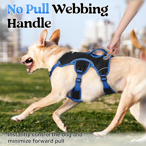 Escape Proof Dog Harness for X (Blue & Black / X-Large)