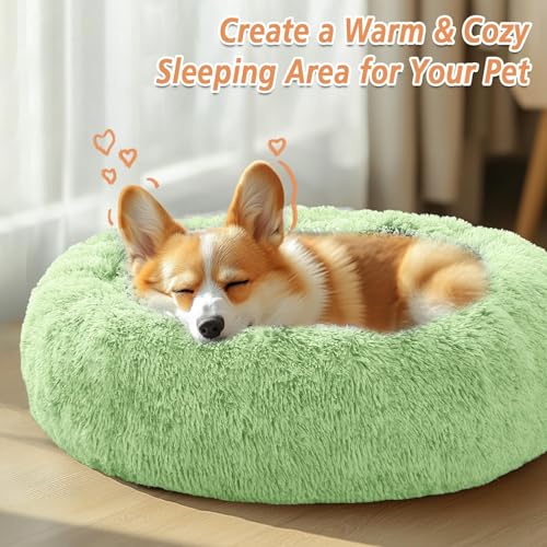 Calming Dog Bed for Small Dogs (Light Green / 23.0"L x 23.0"W x 8.0"Th)