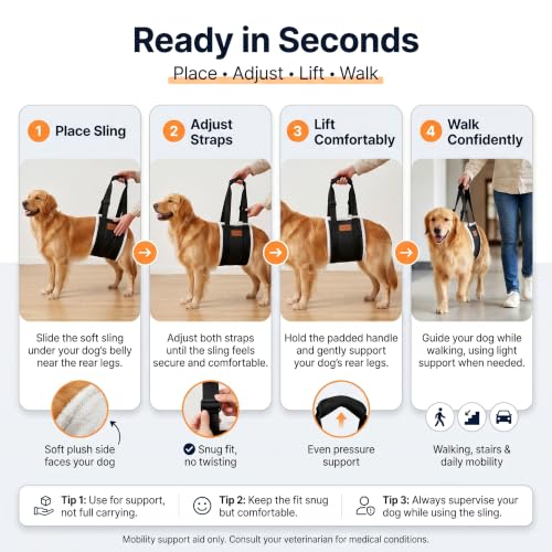Dog Lifting Sling Dog Lift Harness for Back Legs (Medium / Black)