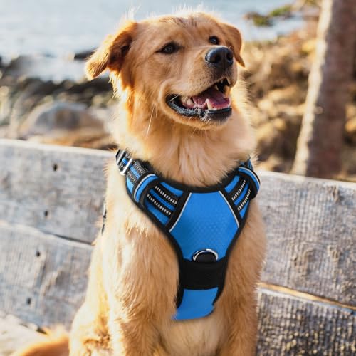 Dog Harness for Large (Blue / X-Large)