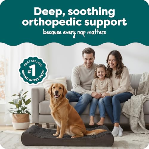 Orthopedic Dog Bed for Large Dogs (Jumbo/XL / Chocolate)