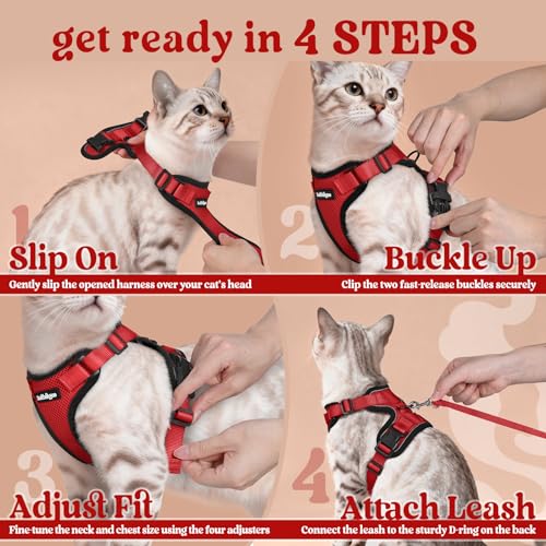 Cat Harness and Leash Set (Xxs / Red)