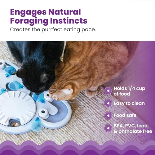 Nina Ottosson Rainy Day Puzzle & Play Cat Toy Treat Puzzle (Rainy Day / Treat Puzzle)