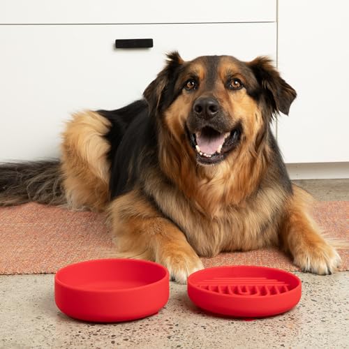 Slow Feeder Dog Bowl (Cherry - Rainbow Design / Medium (7.5” Across x 1.5” Tall))