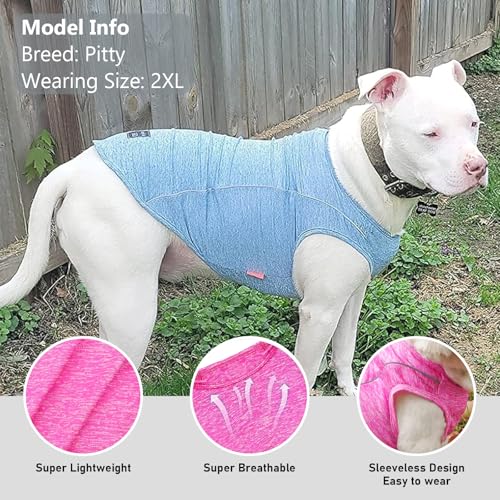 Reflective Dog Shirt (XXX-Large (55-75lbs) / 4#Rose Red)