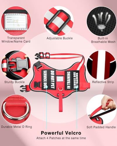 Service Dog Vest Harness and Leash Set+10 Patches Red XS (Extra-Small / Red)