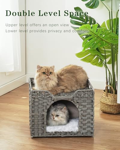 Cat Beds Indoor Kitten House (Gray / Rectangle-M)