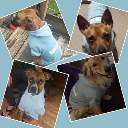 Security Dog Hoodie (#1 Blue(Security) / Large (All Breed Sizes))