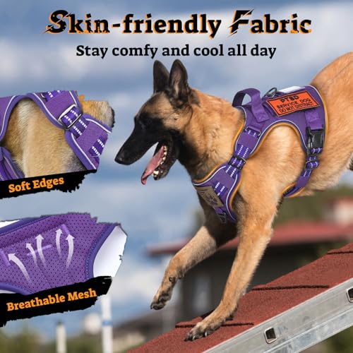 Tactical Dog Harness Medium Sized (M(chest:20.1"-33.9",neck:17.7"-22.3",back:7.5") / Purple)
