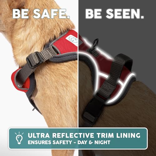 Embark No Pull Dog Harness (M / Red)