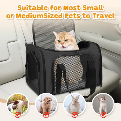Large Cat Carrier Soft Up to 28 Lbs (20.0"L x 13.0"W x 13.0"H / Black)