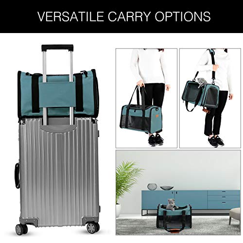 Cat Carrier Portable Foldable Dog Pet Carrier (17.5"L x 11.0"W x 11.0"H / Blue)