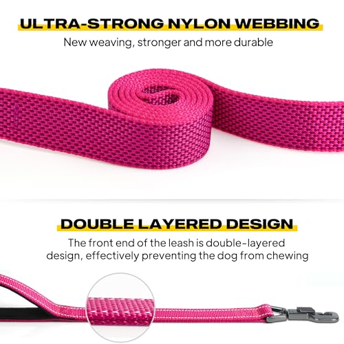 Heavy Duty Dog Leash for Medium Large Dogs (5 Feet (Pack of 1) / Rose)