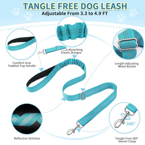 No Pull Small Dog Harness and Leash Set with Front Clip (X-Small / Teal)