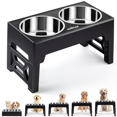 Elevated Dog Bowls (2 Stainless Steel Bowls / Black)