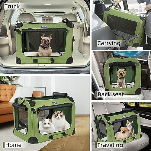 Large Cat Carrier for 2 Cats (Green / 24.0"L x 17.0"W x 17.0"H)