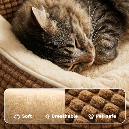 Square Dog Bed Medium Size Dog (Mocha Brown / 36"L x 26"W x 8"H)