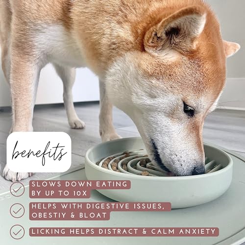 Slow Feeder Dog Bowl (Tan - Rainbow Design / Medium (7.5” Across x 1.5” Tall))
