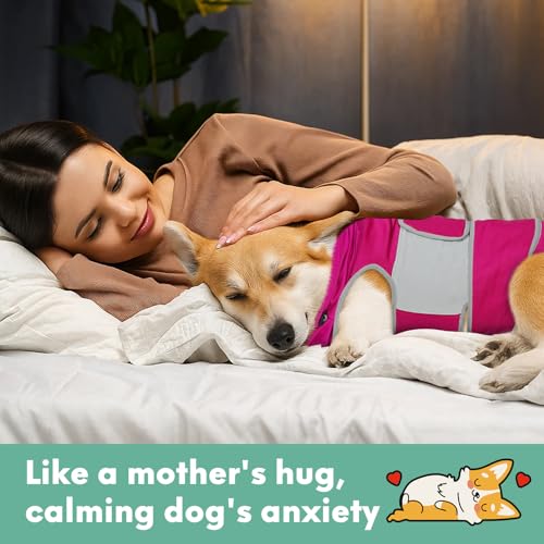 Dog Anxiety Shirt with Hood (bright red / M)