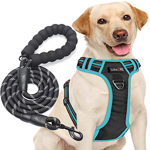No Pull Dog Harness Adjustable Reflective Oxford Easy Control Medium Large Dog Harness with A Free Heavy Duty 5ft Dog Leash (Black/Blue / Large)