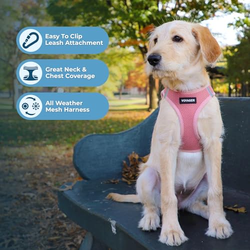 Voyager Step in Air All Weather Mesh Harness and Reflective Dog 5ft Leash Combo with Neoprene Handle (Harness Leash Set (Pink) / S (Chest: 14.5 - 16"))