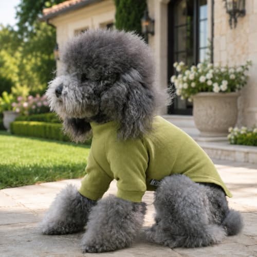 Ribbed Dog T Shirt Cotton Knitted Dog Sweaters for All Season Pet T (3XL (for Large Dog) / Chartreuse)