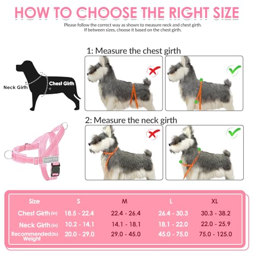 No Pull Dog Harness and Leash Set (Pink / Small)