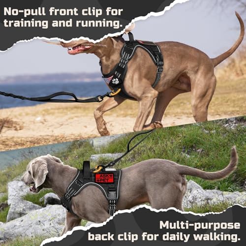 Tactical Dog Harness for Large (Black / Large)
