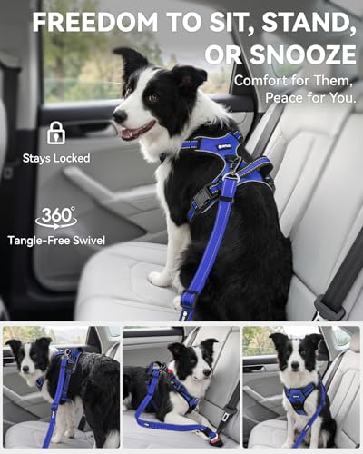 3-in-1 Bungee Dog Seat Belt for Car, Medium Large Dogs, Navy Blue (Navy Blue / (21.6-31.5) inch)