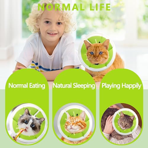Soft Adjustable Cat Cone Collar (Kiwifruit / Medium)