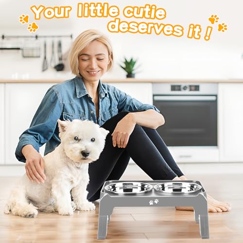Elevated Dog Bowls for Small Medium Dogs (Grey / 6" for Small Dogs)