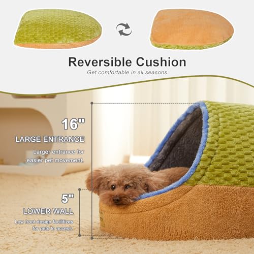 Cute Cat Beds for Indoor Cats (Large / Green)