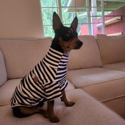 Turtleneck Dog Shirt Cute Doggie Embroidery Super Soft Dog Sweatshirt Stretchy Striped Puppy Pullover for Cats Small Medium Large Dogs (Black Striped / XXX-Large)