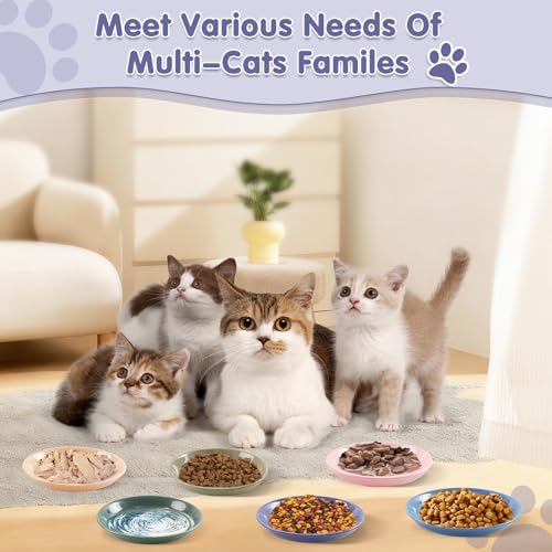 6 Pack Cat Food Bowl (CaiSe-B)