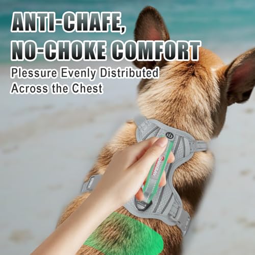 Dog Harness for Small Sized Dog No Pull Dog Vest ID Tag Pocket (Grey / Small)