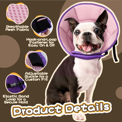 Adjustable Dog Cone for Spay (Purple / XL(Neck Girth:16.54"-21.65"))