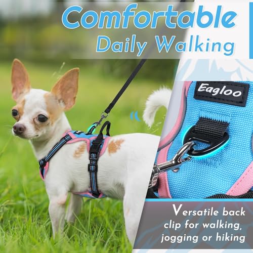 Dog Harness for Small Dogs (X-Small / Pink & Blue)