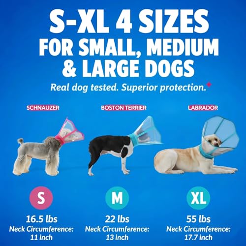 Soft Neck Pad Hard Plastic Dog Surgery Recovery Cone Collar for Small Dogs (Blue-Green / Small)