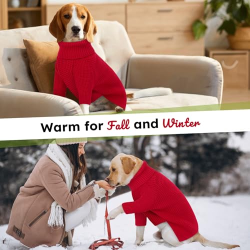 Small Dog Sweater (Red / Small)