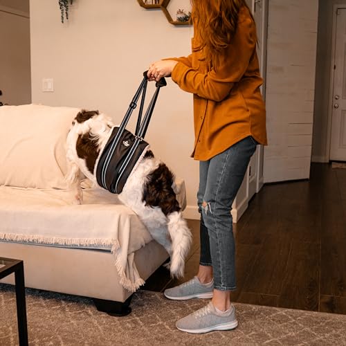 Portable Dog Lift Harness (Medium)