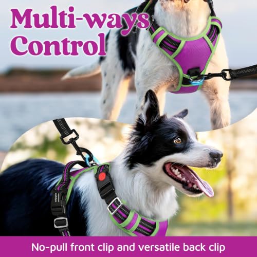 Dog Harness Medium Sized (Purple & Light Green / Medium)