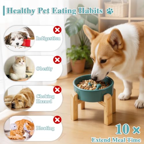 6.3” Elevated Slow Feeder Dog Bowls (Dark Green-M)