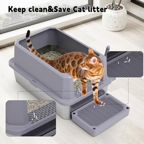 Open Cat Litter Box (Gray, 1 Pack)